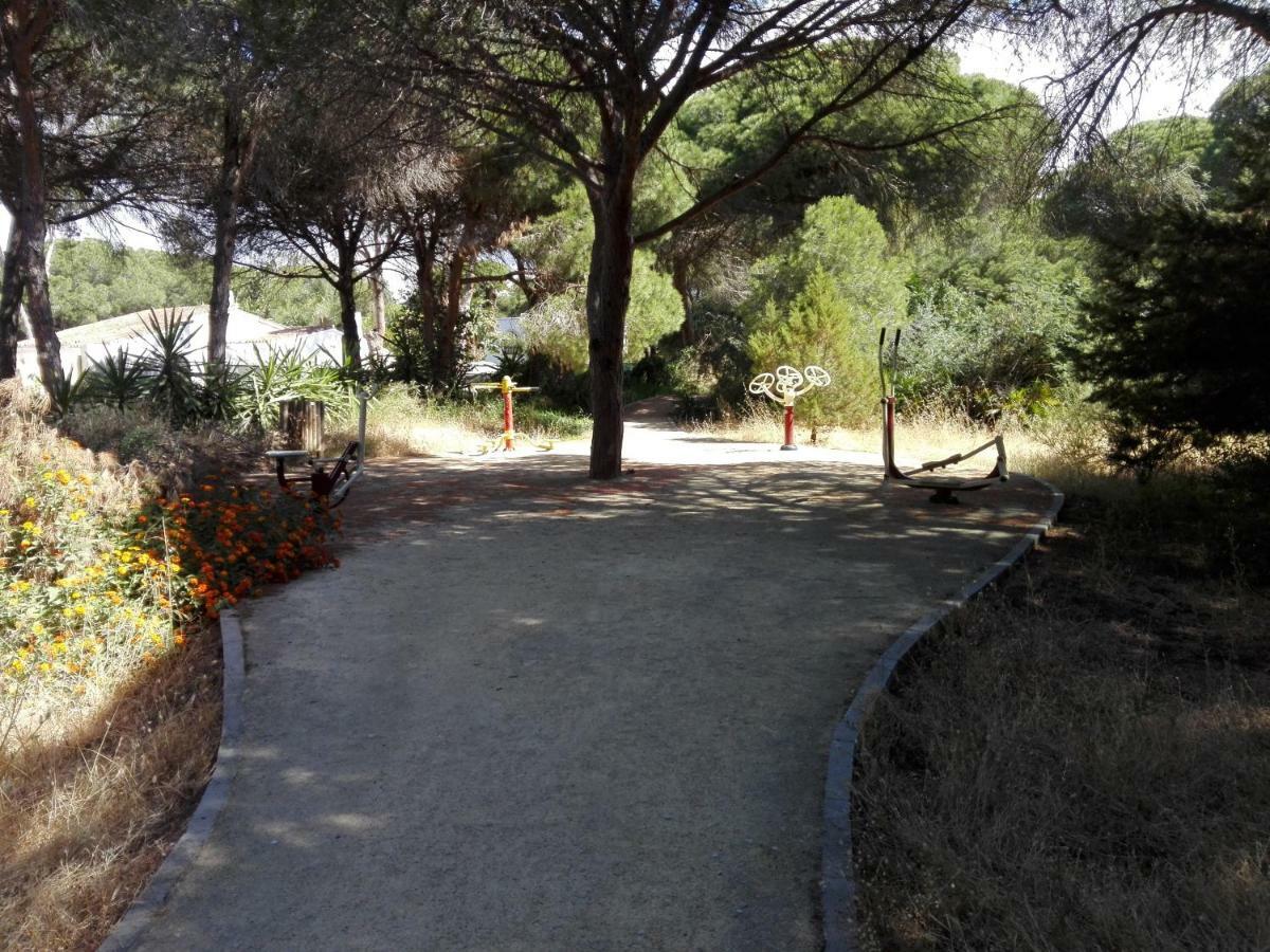 Apartamento En Los Patios De Santa Maria Golf Marbella Esterno foto